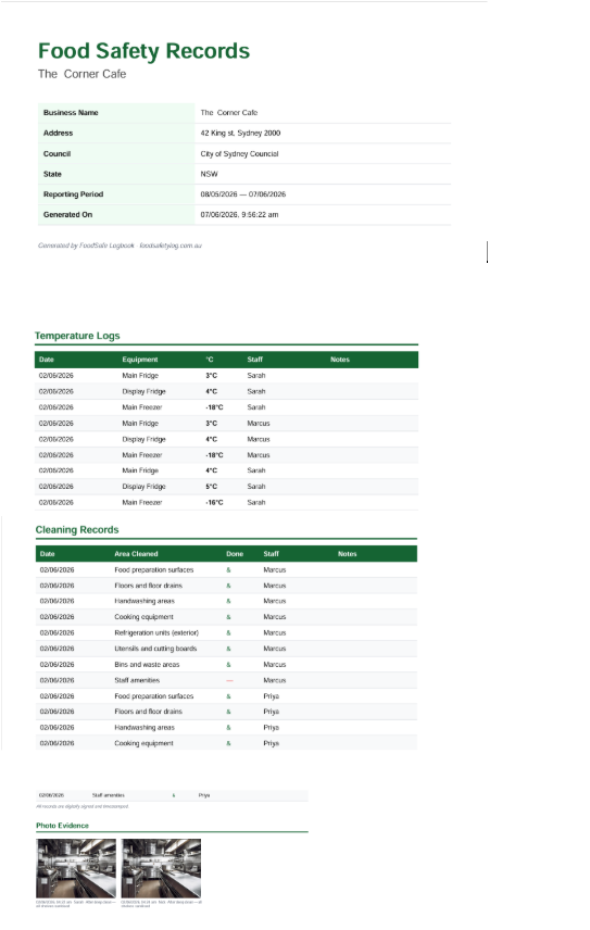 Council Report PDF